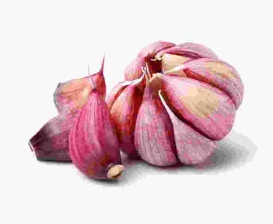 Red Lasan